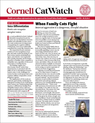 Best Price for CatWatch Magazine Subscription