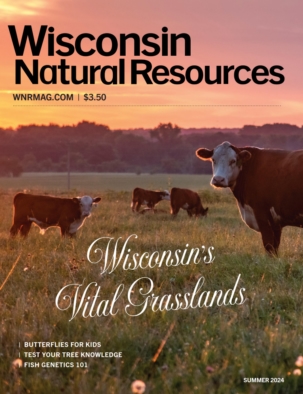 Best Price for Wisconsin Natural Resources Magazine Subscription