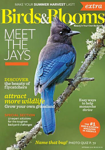 Best Price for Birds & Blooms Extra Magazine Subscription