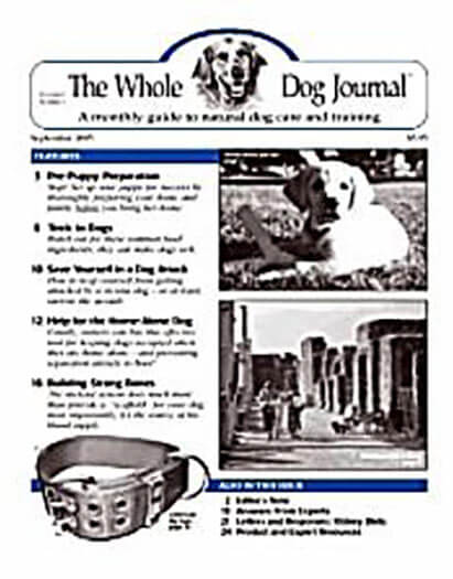 Best Price for Whole Dog Journal Subscription