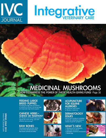 Best Price for Integrative Veterinary Care Journal Subscription