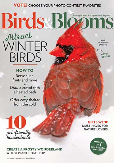 Best Price for Birds & Blooms Magazine Subscription