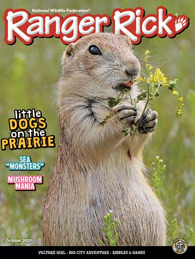 Best Price for Ranger Rick Magazine Subscription