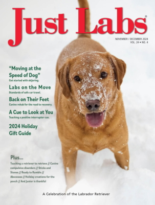 Best Price for Just Labs Magazine Subscription