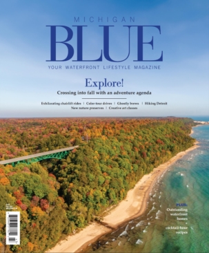 Best Price for Michigan Blue Magazine Subscription