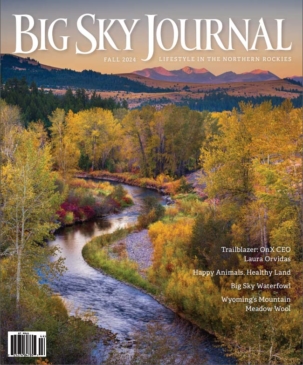 Best Price for Big Sky Journal Subscription