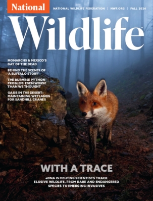 Best Price for National Wildlife Magazine Subscription