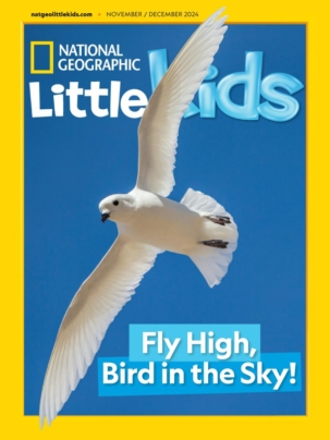 Best Price for National Geographic Little Kids Magazine Subscription