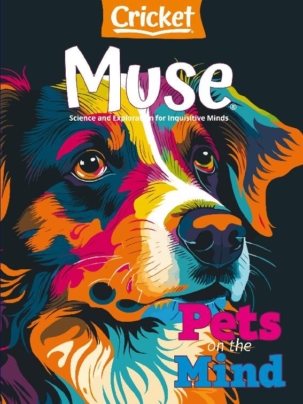 Best Price for Muse Magazine Subscription