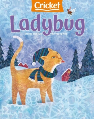 Best Price for Ladybug Magazine Subscription