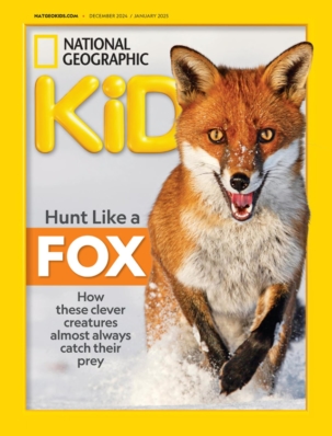 Best Price for National Geographic Kids Magazine Subscription