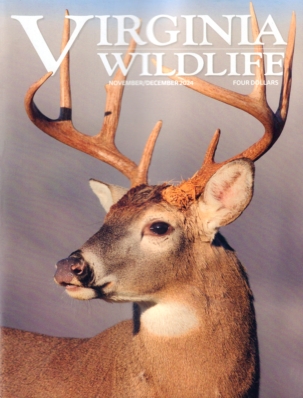 Best Price for Virginia Wildlife Magazine Subscription