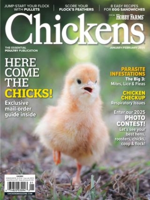 Best Price for Chickens Magazine Subscription