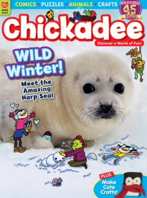 Best Price for ChickaDEE Magazine Subscription