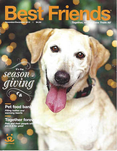 Best Price for Best Friends Magazine Subscription