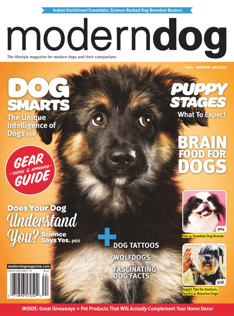 Best Price for Modern Dog Magazine Subscription