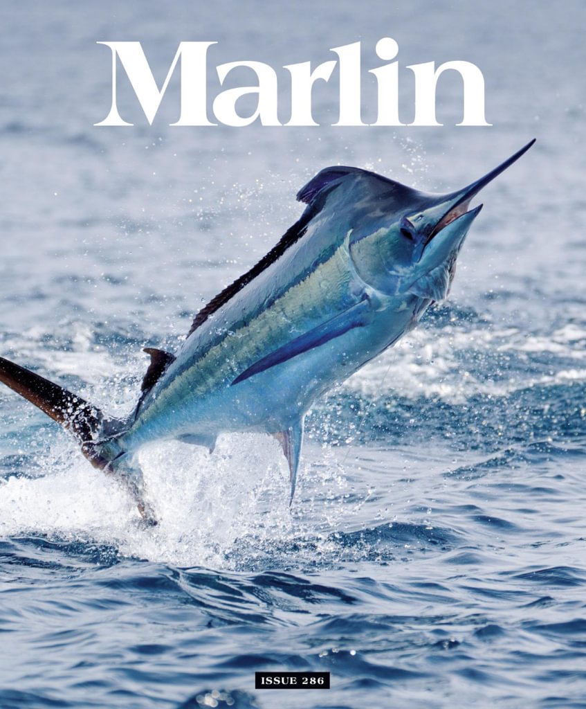 Best Price for Marlin Magazine Subscription