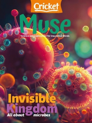 Best Price for Muse Magazine Subscription