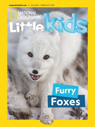 Best Price for National Geographic Little Kids Magazine Subscription