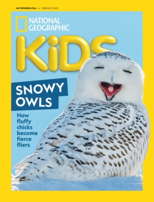 Best Price for National Geographic Kids Magazine Subscription