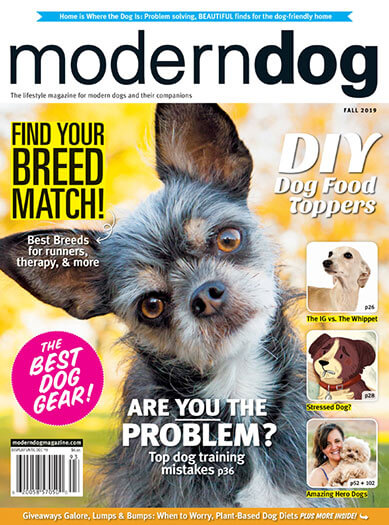 Best Price for Modern Dog Magazine Subscription