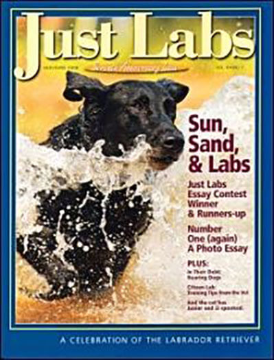 Best Price for Just Labs Magazine Subscription