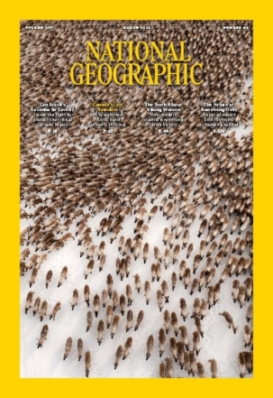 Best Price for National Geographic Magazine Subscription