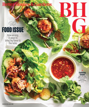 Best Price for Better Homes & Gardens Magazine Subscription