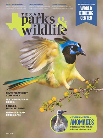 Best Price for Texas Parks & Wildlife Magazine Subscription