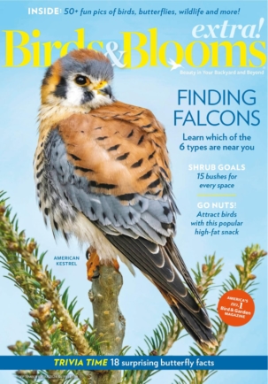 Best Price for Birds & Blooms Extra Magazine Subscription