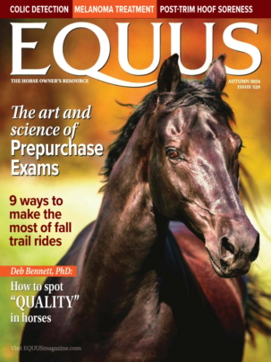 Best Price for Equus Magazine Subscription